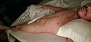 Goedemorgen!, foto 3968x1852, 2 reacties, 3 stemmen