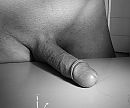 Goedemorgen, foto 2544x2136, 18 reacties, 47 stemmen