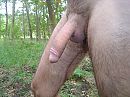 Goedemorgen, foto 2048x1536, 2 reacties, 10 stemmen