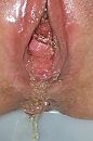 Golden Shower, foto 433x651, 134 reacties, 222 stemmen