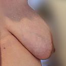 Hängeeuter, foto 374x374, 8 reacties, 40 stemmen