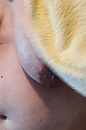 Hängeeuter unter Handtuch, foto 390x585, 2 reacties, 17 stemmen