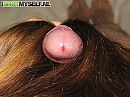 Haarfetish?, foto 550x412, 0 reacties, 9 stemmen