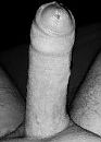 Happy 2024, foto 127x177, 3 reacties, 8 stemmen