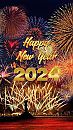 Happy New Year!, foto 474x842, 1 reacties, 15 stemmen