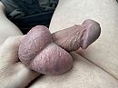 Hard aanpakken, foto 4000x3000, 2 reacties, 11 stemmen