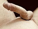 Hard en stijf, foto 3021x2302, 18 reacties, 34 stemmen