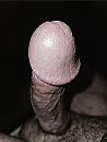 Harde dop!, foto 1440x1903, 0 reacties, 2 stemmen