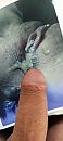 Heerijk spuiten voor Ladyness2, foto 1802x4000, 2 reacties, 5 stemmen