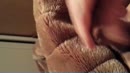 Heerlijk klaargekomen, film 00:00:00, 34 reacties, 56 stemmen