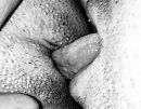 Heerlijk kutje gelikt …, foto 1179x924, 1 reacties, 3 stemmen