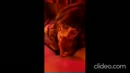 Heerlijke BJ door deze MILF, film 00:00:00, 14 reacties, 61 stemmen