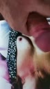 Heerlijke borsten van hotgina, film 00:00:00, 2 reacties, 11 stemmen