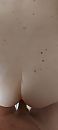 Heerlijke doggy, foto 1802x4000, 2 reacties, 14 stemmen
