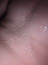 Heerlijke lading, foto 2448x3264, 7 reacties, 11 stemmen