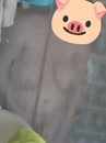 Heimlich bei Dusche gefilmt, film 00:00:00, 12 reacties, 49 stemmen