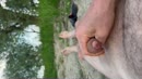 Hele dag geil, film 00:00:12, 4 reacties, 23 stemmen