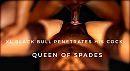 Her new black bull, foto 1130x626, 3 reacties, 13 stemmen