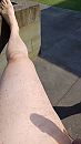 Het kan weer, foto 2250x4000, 0 reacties, 3 stemmen