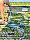 Het kan weer, foto 1200x1600, 26 reacties, 104 stemmen
