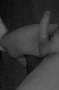 Hi.., foto 276x417, 0 reacties, 2 stemmen