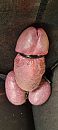 Hij is zo lekker., foto 1801x4000, 3 reacties, 9 stemmen