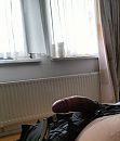 Hij mag eventjes los, foto 3000x3495, 5 reacties, 12 stemmen