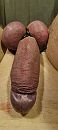 Hij staat op knappen, foto 1801x4000, 1 reacties, 3 stemmen