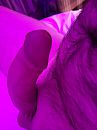 Hmm geil van al het moois hier, foto 3000x4000, 0 reacties, 3 stemmen