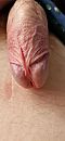 Hmm, foto 1868x4000, 3 reacties, 12 stemmen