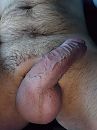 Hmmmmmm, foto 662x883, 3 reacties, 10 stemmen