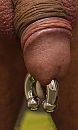 Hoefijzer ..., foto 536x884, 11 reacties, 10 stemmen
