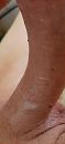 Horny :D !!!, foto 1845x4000, 1 reacties, 2 stemmen