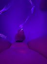 Hot in de tub, foto 3000x4000, 6 reacties, 10 stemmen