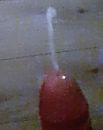 Hot, foto 1968x2472, 1 reacties, 7 stemmen