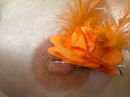 Hup Holland, foto 2048x1536, 23 reacties, 78 stemmen