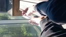 I love being a sissy, film 00:00:06, 2 reacties, 7 stemmen
