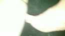 I love it, film 00:00:00, 77 reacties, 245 stemmen