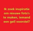 Iemand een voorstel?, foto 493x472, 1 reacties, 4 stemmen