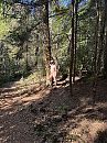 Iets verder weg, foto 3000x4000, 3 reacties, 18 stemmen