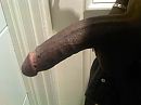 Ik wens de dames, foto 2048x1536, 2 reacties, 7 stemmen