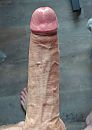 Ik43, foto 1520x2142, 3 reacties, 7 stemmen
