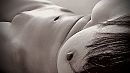 Ikke super close artistic, foto 2809x1580, 19 reacties, 87 stemmen