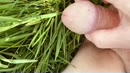 In ‘t gras piesen, film 00:00:00, 10 reacties, 18 stemmen