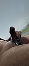 In auto, foto 1448x3216, 4 reacties, 15 stemmen