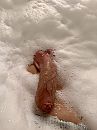In bad #2, foto 3000x4000, 5 reacties, 28 stemmen