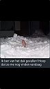 In de sneeuw gevallen, foto 750x1334, 6 reacties, 10 stemmen