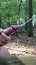 In het bos 2, foto 540x960, 11 reacties, 36 stemmen