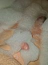 In het schuim, foto 3000x4000, 0 reacties, 4 stemmen