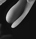 Inkijk, foto 1579x1699, 2 reacties, 11 stemmen